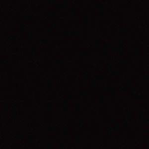 Meet your Posher, Paloma